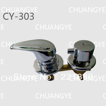    CY-303